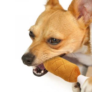 Spielzeug für Hunde