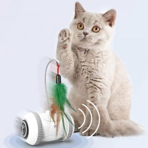 Interactive Cat Toy With Interchangeable Pet Feather Toys